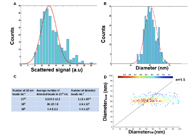 Scattering and hydrodynamic radius of particles